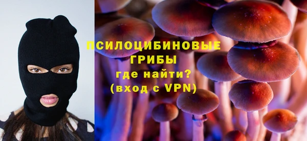 apvp Абаза