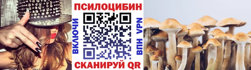 Галлюциногенные грибы GOLDEN TEACHER  хочу наркоту  Иланский 