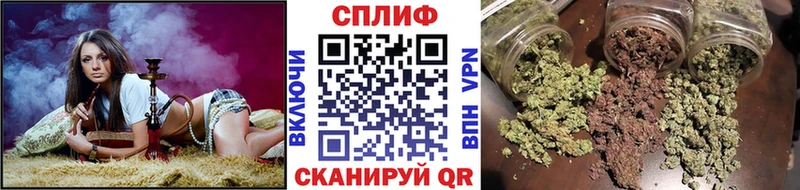 Конопля Amnesia  Иланский 